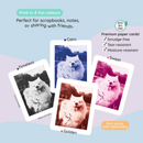 kiimento Ink‑Free Instant Print Digital Camera for Kids 8+, Creator Mode, Density Control, 25+ Filters Sky Blue
