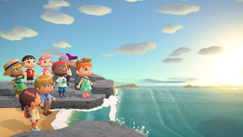 Animal Crossing: New Horizons, Nintendo, Nintendo Switch, 045496596439
