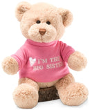 Gund Big Sister Bear, Pink Teddy Stuffed Animal Plush 12 inches